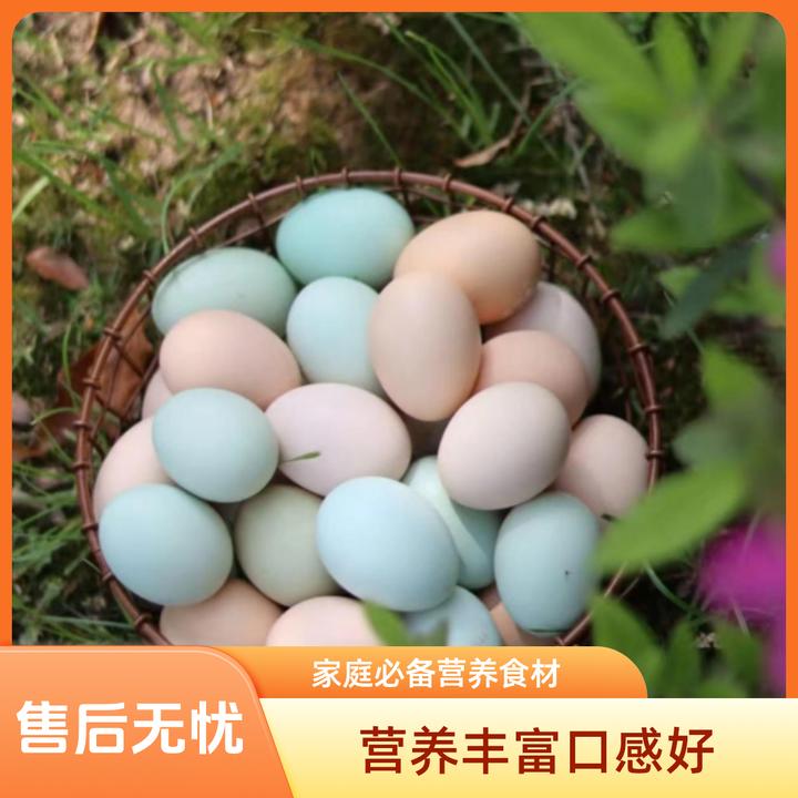 土鸡蛋（粉壳 绿壳混装50枚）农场散养土鸡蛋