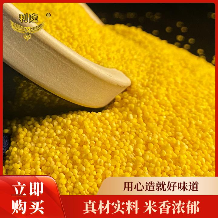 新品冲量】 2024年新米赤峰小米大金苗米油浓厚粘稠