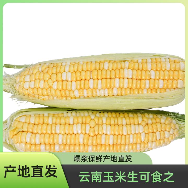 【精选装】可以生吃的云南高原水果玉米甜玉米爆浆产地直发金银双色