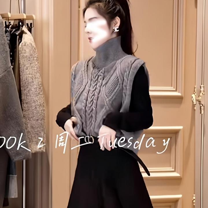 百搭女装双面马甲毛衣女秋冬装立领麻花针织背心法式独特别致上衣