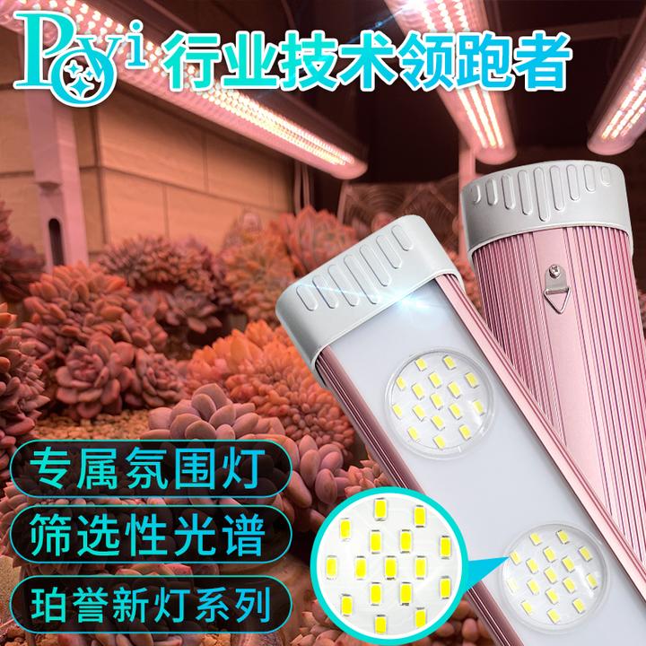 【珀誉多肉植物补光灯】 3上色全光谱家用防徒仿太阳植物生长灯p96