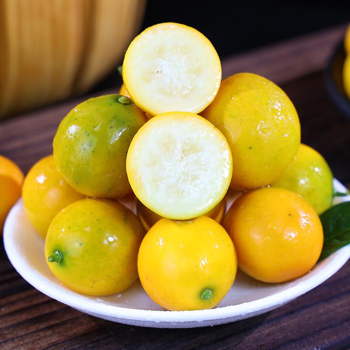 广西融安滑皮金桔QT