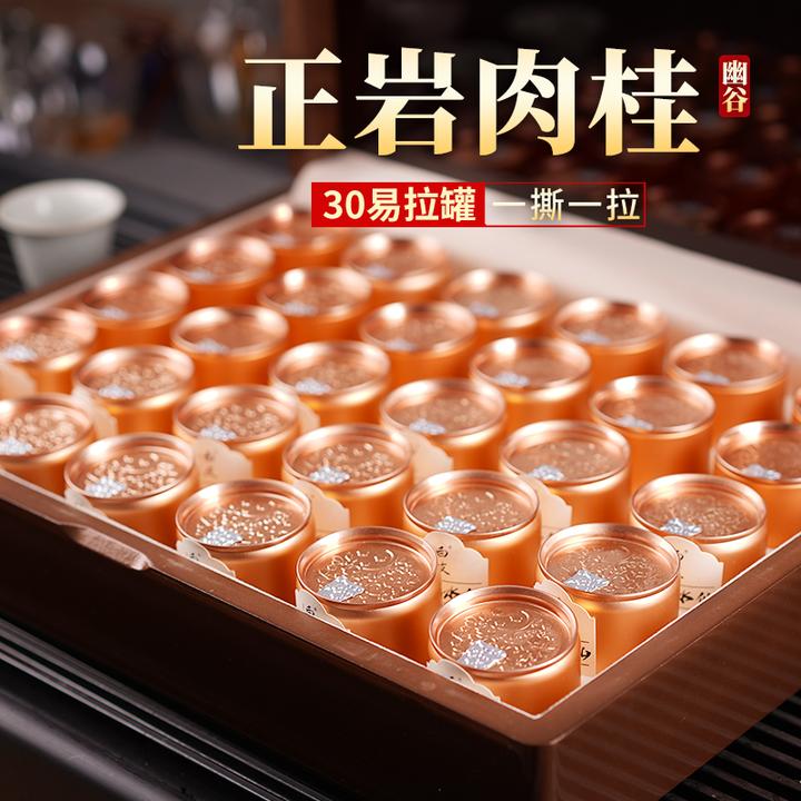 正岩肉桂茶武夷山岩茶乌龙茶大红袍浓香型马头岩30小罐礼盒装300g