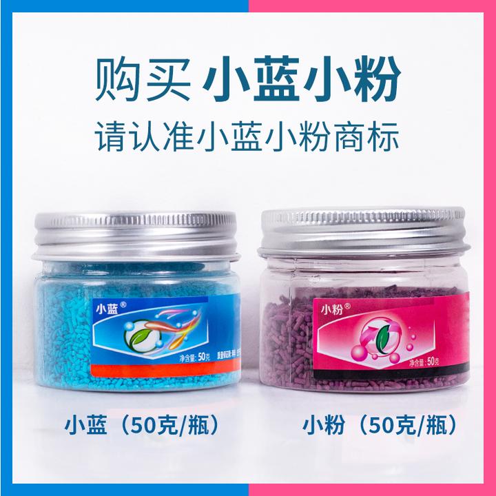 【粉丝福利】小蓝小粉组合多肉花卉绿植园艺船长花园养花养护套餐