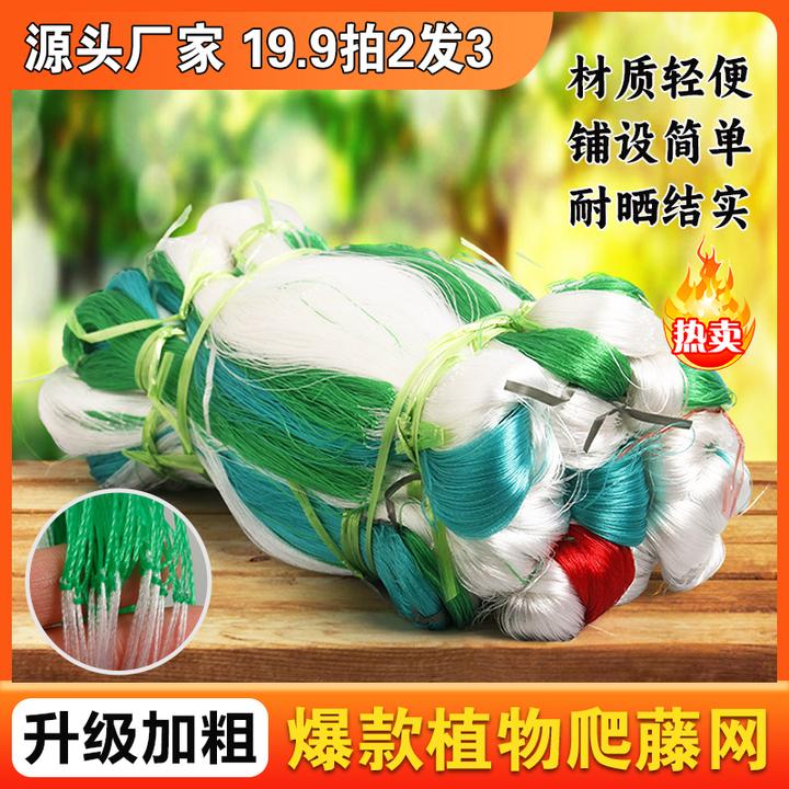 园艺爬藤网 农业种植爬藤架 藤类花草山药网豆角网黄瓜种植支架网