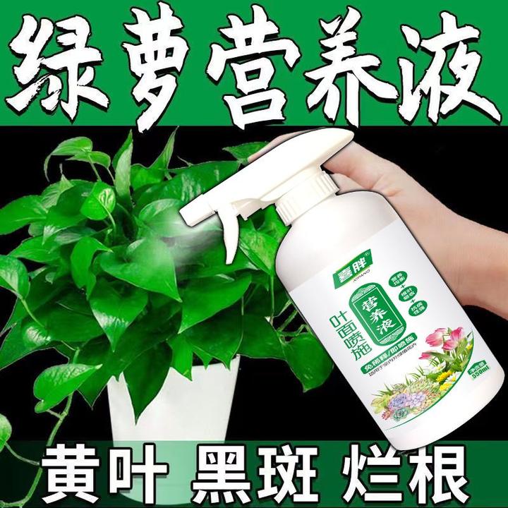 【拯救黄叶】绿萝营养液通用枯萎免稀释状根有机肥料果树