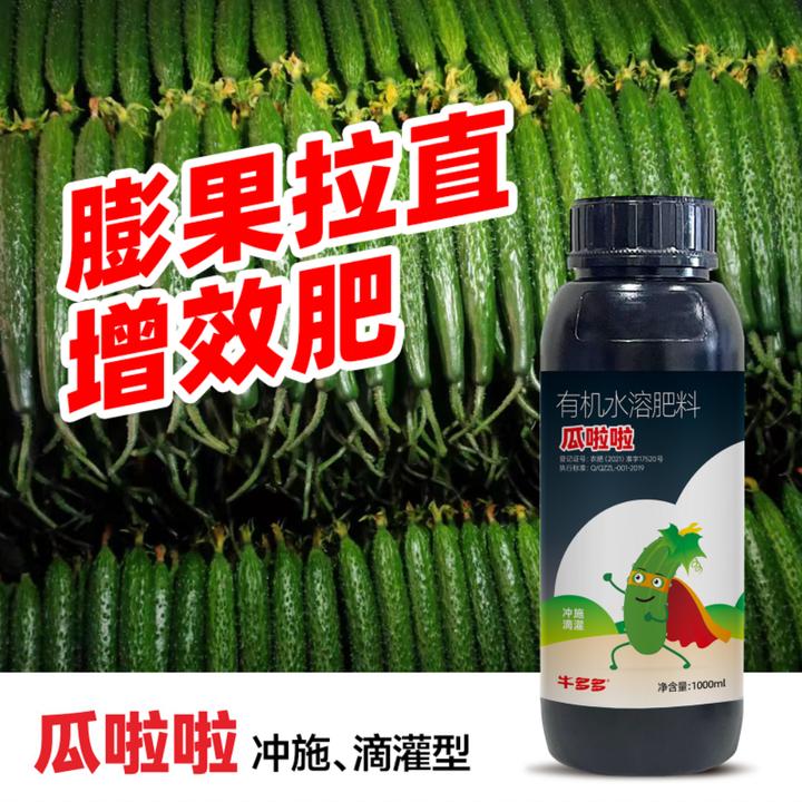 瓜啦啦膨果顺直增效肥生根壮秧膨果快刺密油亮持续带瓜不断茬