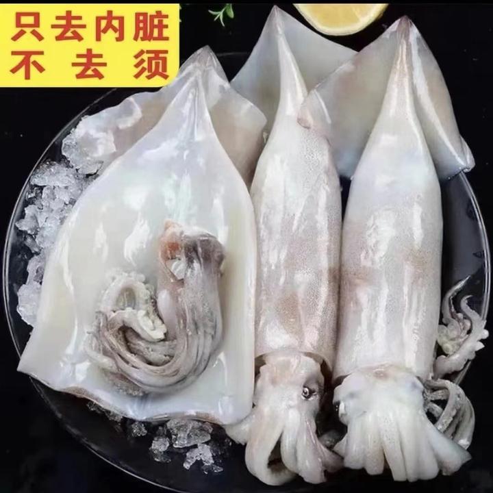 连云港 去皮去内脏新鲜大鱿鱼5斤