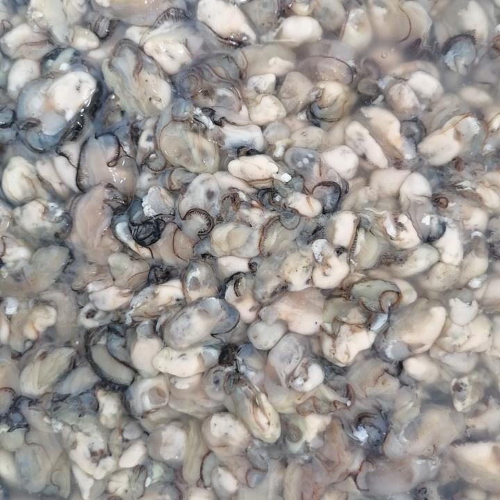 【石头海蛎】漳州六鳌产地现撬现开食用海蛎肉牡蛎肉2斤4斤