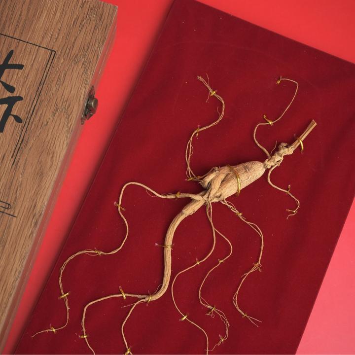 正宗吉林整颗林下山参礼盒装泡酒煲汤送三七粉