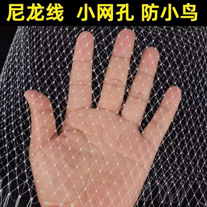 小孔尼龙网菜园防鸟网果园果树大棚鱼塘养殖天网草莓樱桃葡萄网罩