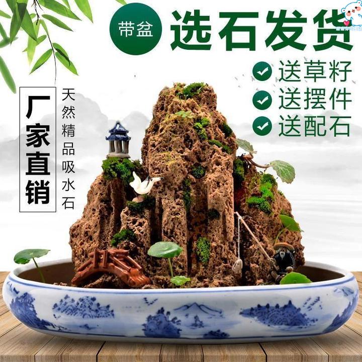 吸水石假山石盆景摆件造景上水石假山盆景原石奇石观赏石微景观