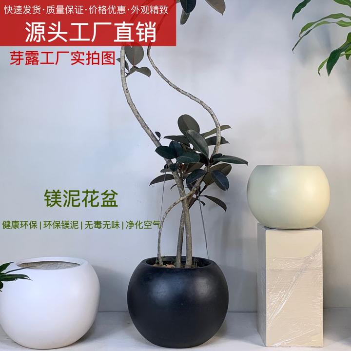 民宿超大客厅高山榕镁泥球形大号家用透气室内大口径阳台镁泥花盆