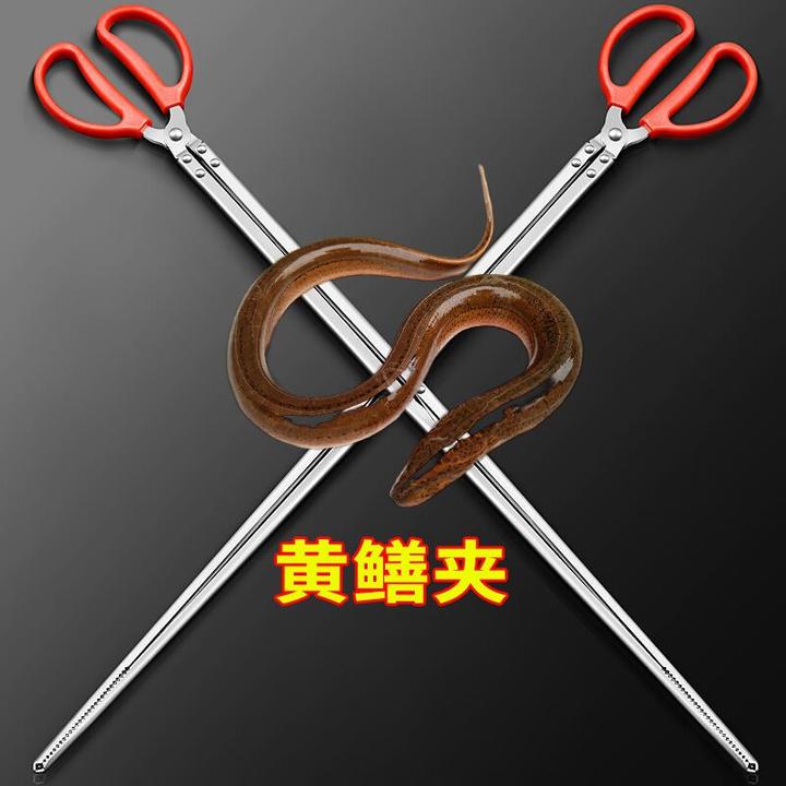 鳝鱼夹泥鳅螃蟹钳子不锈钢黄鳝夹子防滑防脱抓捉专用工具赶海神器