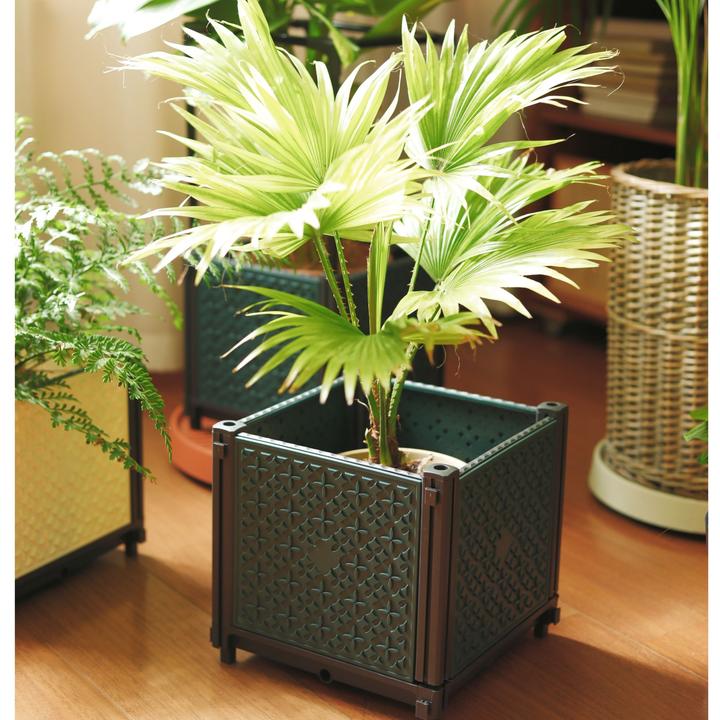 谢冰燃长25宽25高23.5内深19cm 正方形种植箱