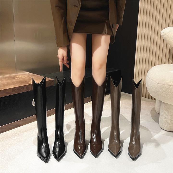 长靴女2025新款秋冬季尖头V口西部靴粗跟显瘦后拉链高筒骑士靴子