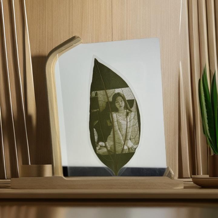 L形状双层创意亚克力面板，实木桦木材质，简约时尚小工艺品益智竹