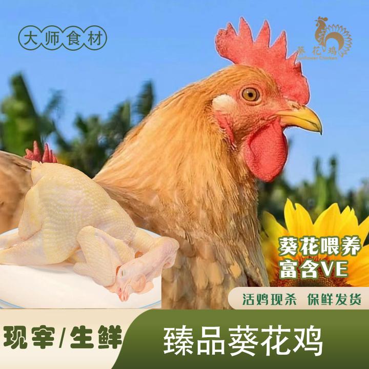 臻品生鲜葵花鸡【800-1000g】米其林酒店总厨定制食材生态现杀