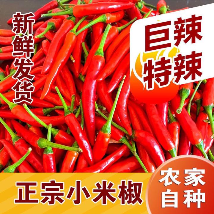 现摘特辣小米椒新鲜朝天椒指天椒剁椒蔬菜红辣椒泡椒产地直发