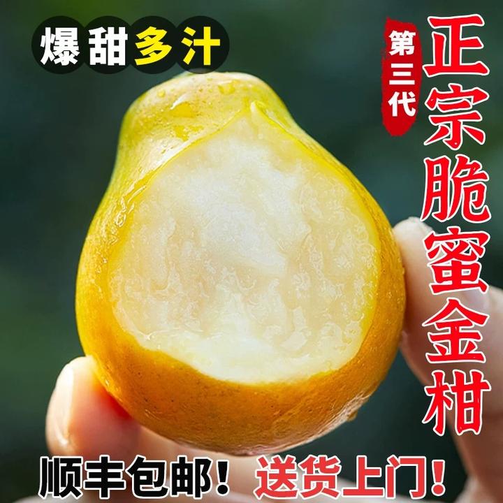 【第三代脆蜜金柑】广西融安脆蜜金桔应季新鲜水果桔子金桔坏果包赔