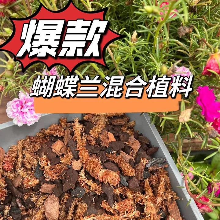 新疆包邮兰花蝴蝶兰专用混合植料水苔树皮木炭营养基质