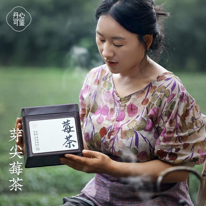 张家界芽尖莓茶丹心可鉴乡愁沈丹正宗茶叶龙须头芽藤茶250g*1罐