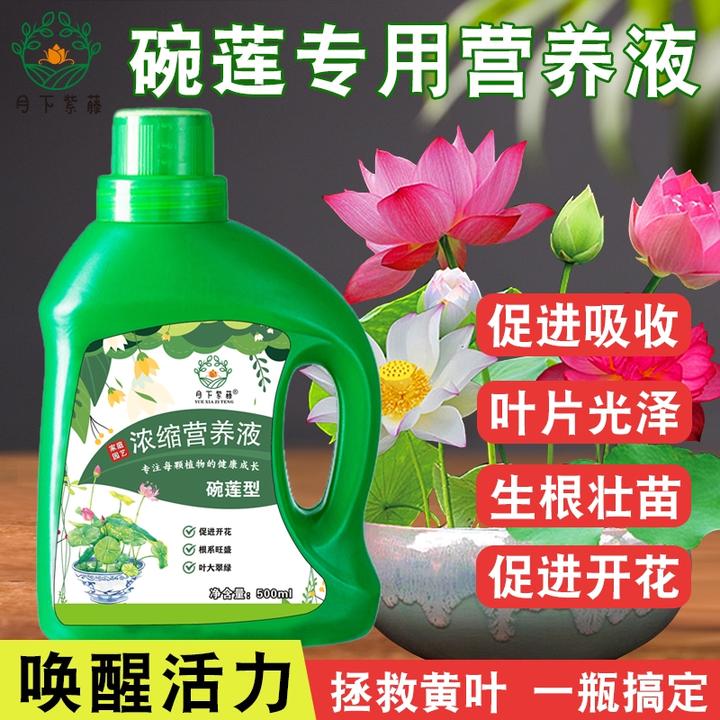 碗莲专用营养液睡莲荷花肥料促进生长开花根系旺盛增肥植物营养液