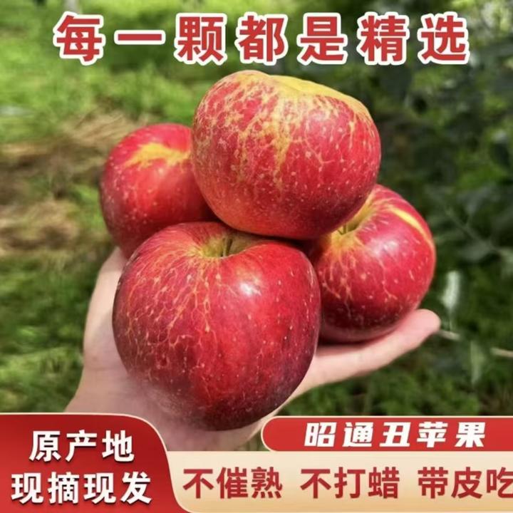 2025正宗云南昭通冰糖心丑苹果红富士新鲜水果脆甜多汁产地直发