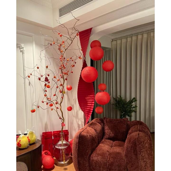 【金灯树】金龙柳酸浆果老桩鲜枝水培植物室内客厅大型好养绿植花卉