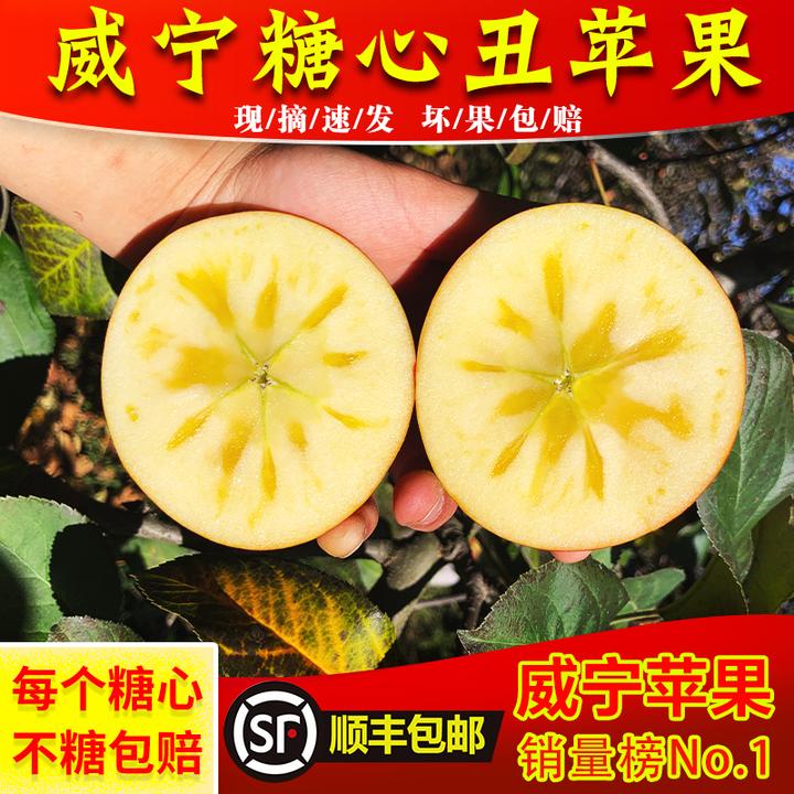 正宗贵州威宁冰糖心高原当季新鲜脆甜整箱12斤装糖心苹果丑苹果