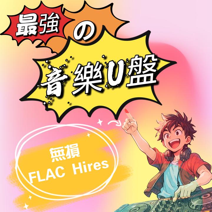 最强车载音乐 无损Flac Hires高速3.1传输