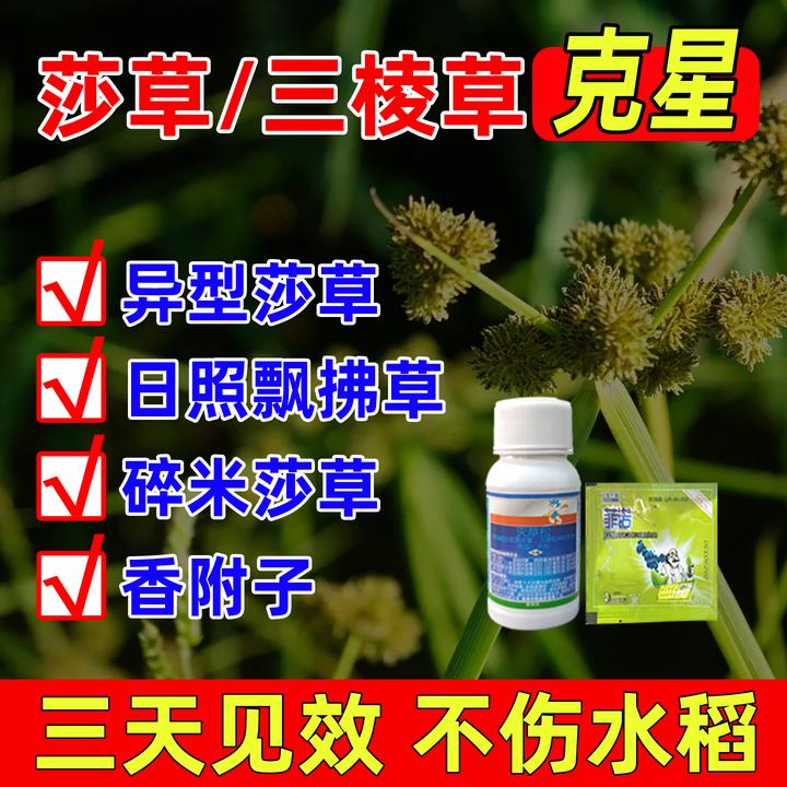 蓝海灵 水稻大豆花生田快速除莎草阔叶三棱草香附子