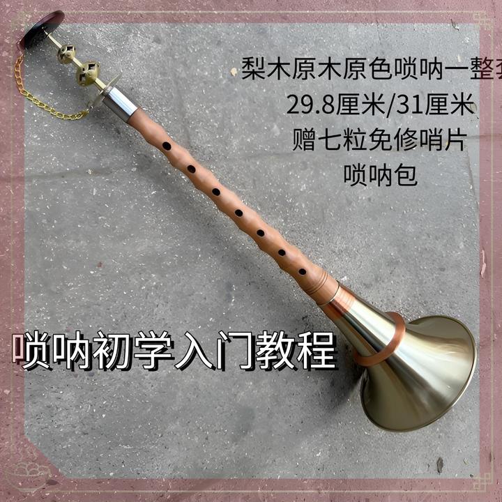 民间唢呐初学梨木唢呐红白喜事不定调8孔唢呐白铜碗口湖南唢呐