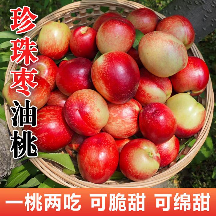 山西珍珠枣油桃新鲜现摘可脆甜爽口孕妇水果脆桃蜜桃白肉红皮包邮