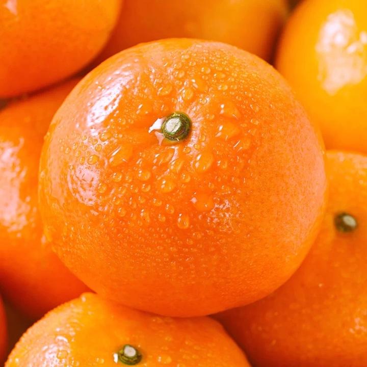 【当季沃柑】新鲜水果香甜多汁非广西武鸣橘子3斤--9斤果园极速发货