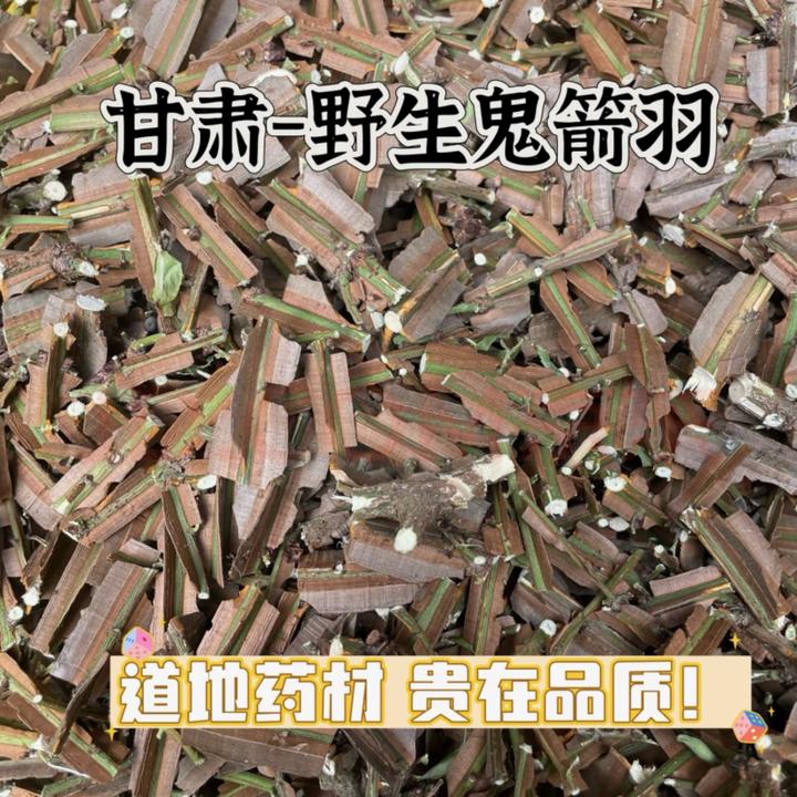 野生鬼箭羽中药材鬼箭羽卫矛500g正品新鲜带枝鬼箭羽段鬼箭愁