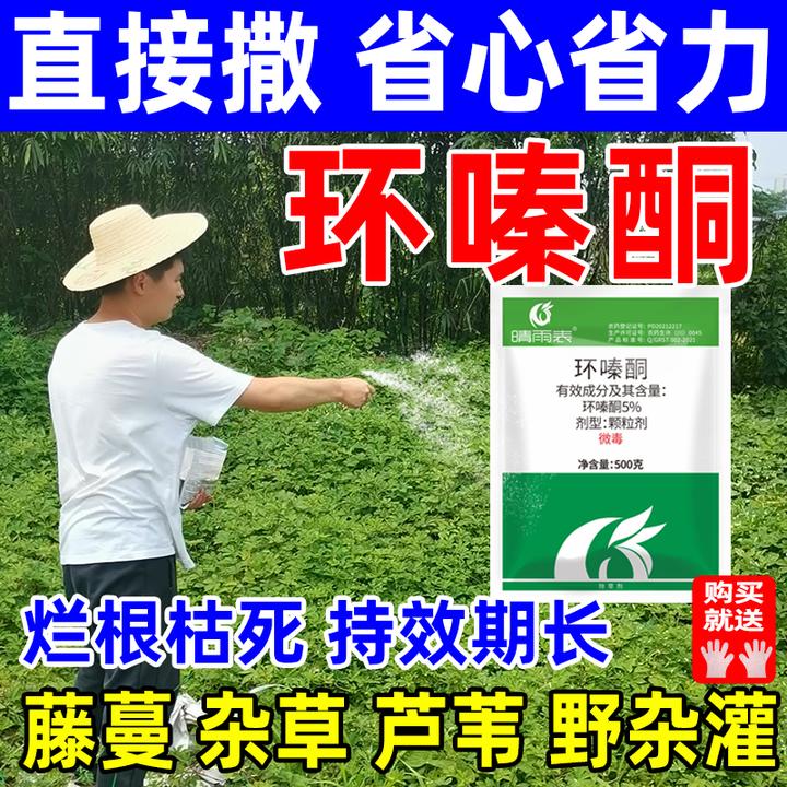 环嗪酮哃除草剂颗粒剂撒施烂根枯死药杂草藤蔓除草剂烂根剂正品