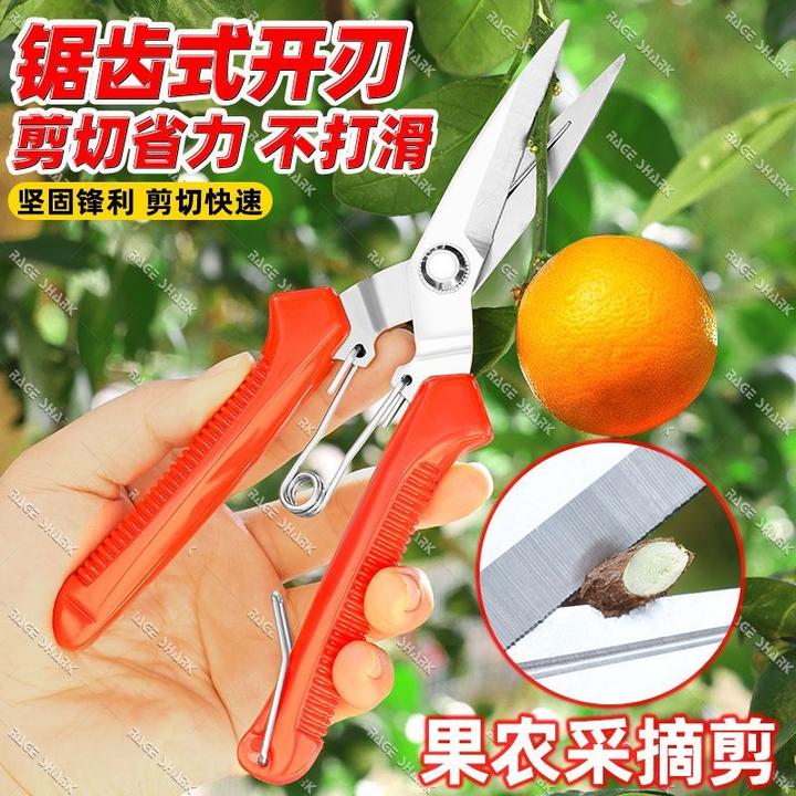 日本精工采果剪稀果剪园艺修剪枝花椒剪枸杞果蔬剪刀花剪采摘工具