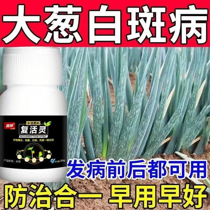 小葱白斑葱叶有白点白粉黄叶全治大葱白点白斑全治微生物菌剂