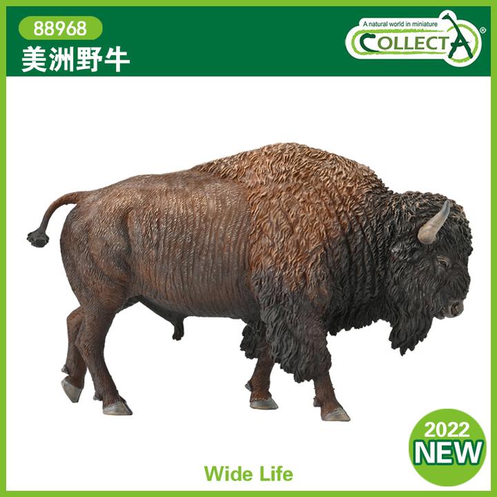 英国CollectA我你他仿真野生动物模型玩具88968美洲野牛2022款