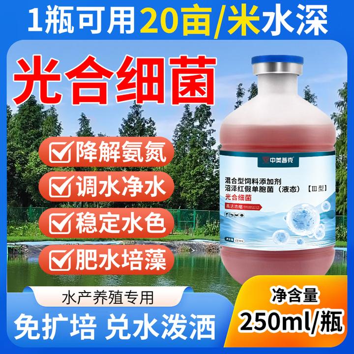 光合菌原种好扩培水产专用光合菌净化水质大水面高温环境用