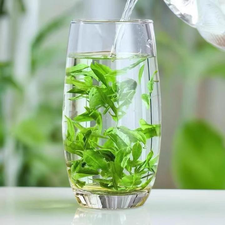 【2025年头采鲜叶】小叶苦丁茶正宗青山绿水精品鲜叶养生好茶罐装