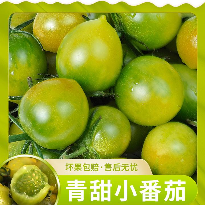 【遊园果纪】山东青甜小番茄2斤约60-90个/3斤约90-130个 京东/顺丰