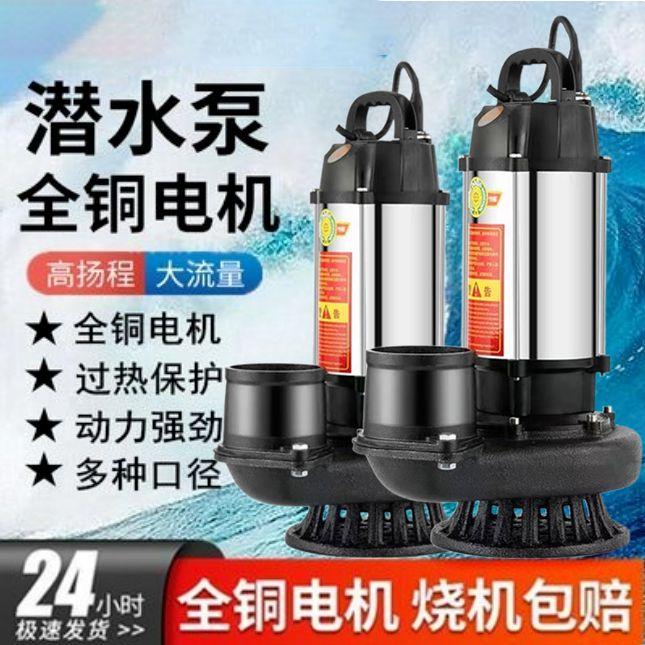 新疆西藏国标大流量高扬程220V家用大口径锈钢农用清水潜水