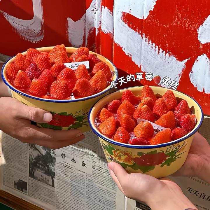 网红同款草莓搪瓷盘蛋糕装饰怀旧复古大红花搪瓷盆烘焙甜品装扮盆