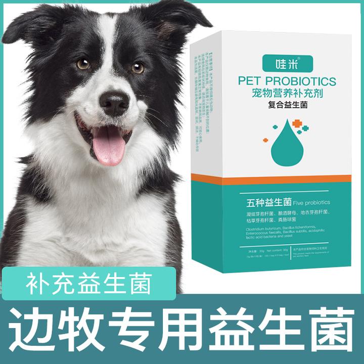 边牧专用益生菌粉宠物犬用狗狗小幼犬成犬肠胃宝肠道消化宝营养