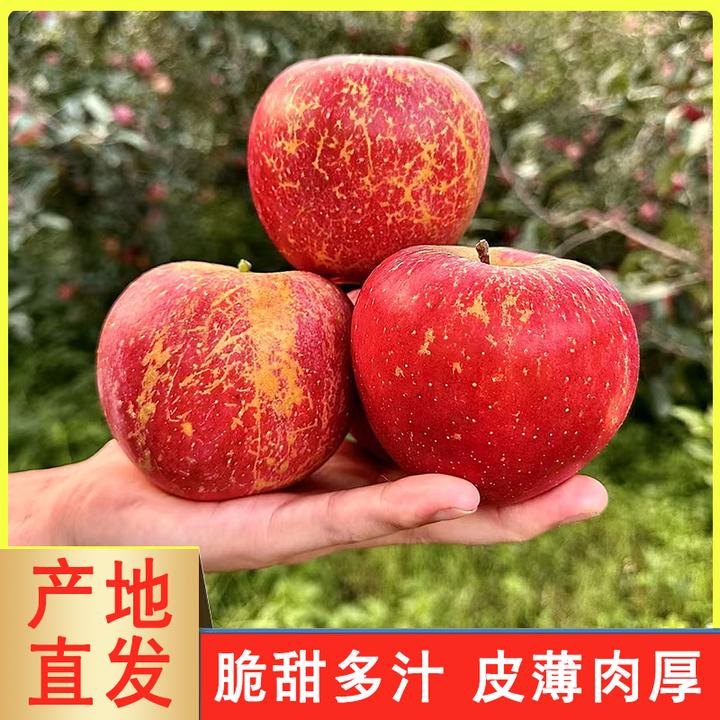 正宗云南昭通冰糖心丑苹果