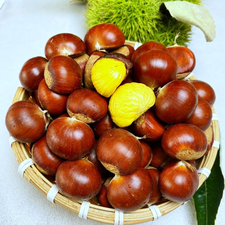 燕山2025新下树新鲜板栗农家自种栗子鲜甜软糯52粒左右/斤