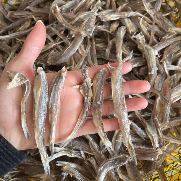 汕尾马宫本港自晒海鸥鱼干 那哥丁鱼脯中乌鱼干淡口香煎配饭配粥