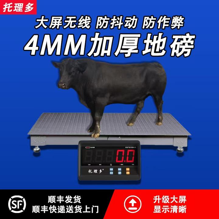 秤牛加厚地磅秤用于称猪牛适用于养殖场和工厂